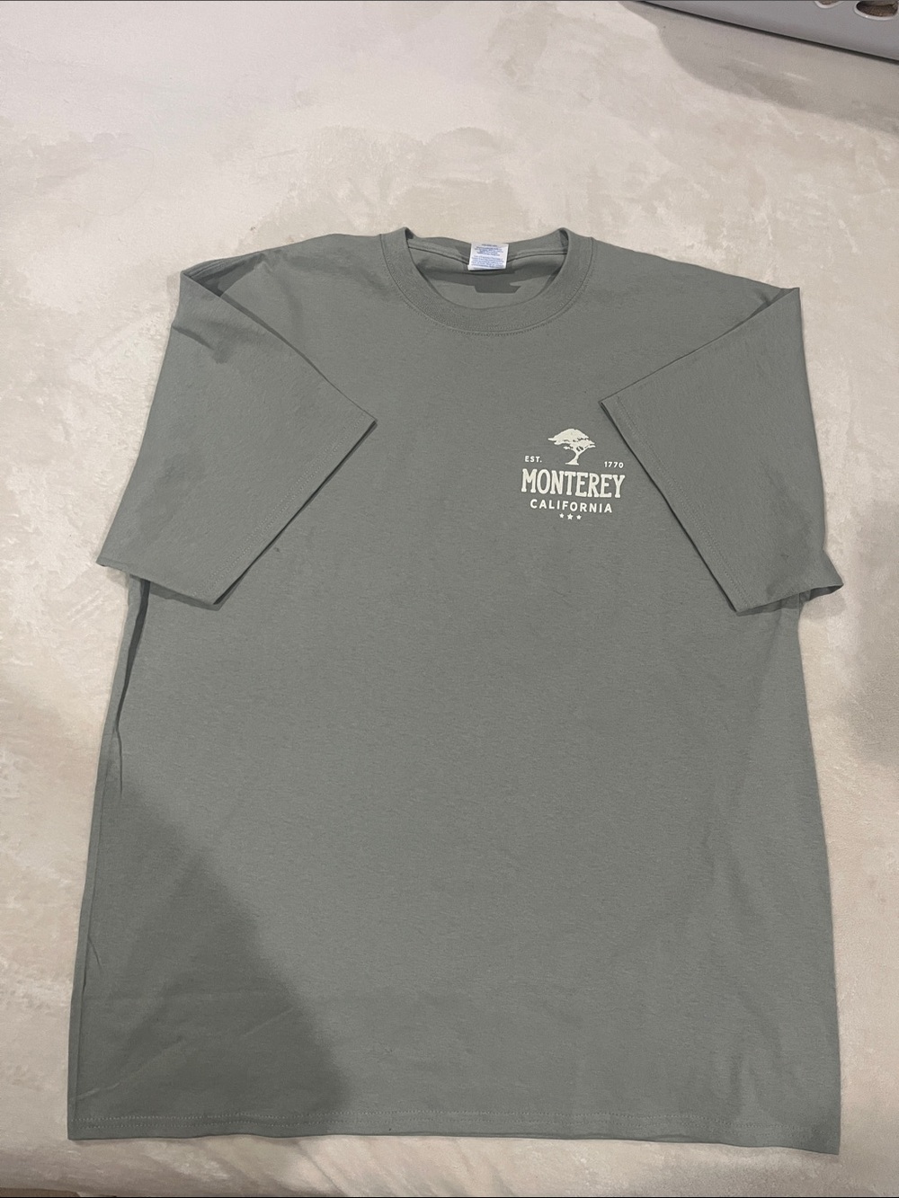 Port and Company Monterey California Short Sleeve Tee - Sage Green